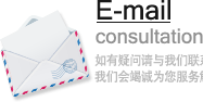E-mail consultation